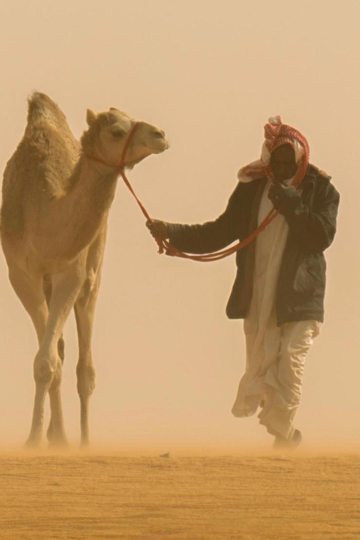 WhatsApp-Image-2025-10-26-at-2.00.25-PM WhatsApp-Image-2025-10-26-at-2.00.25-PM